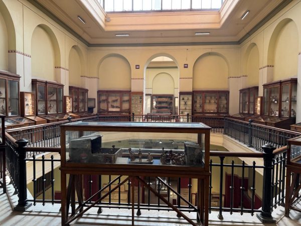 CAIRO : Cairo Tour- Private Tour - Image 11