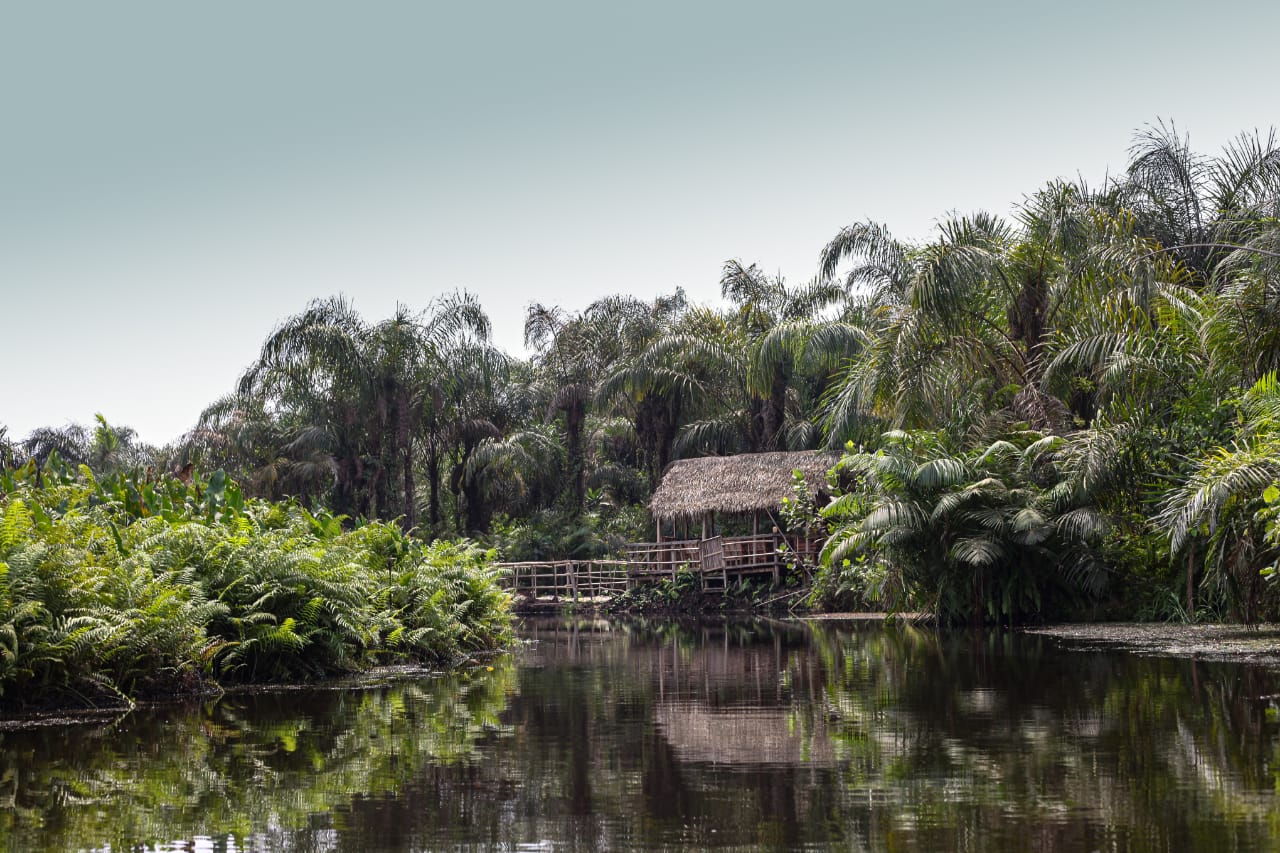 BÉNIN – Séjour immersif – Image 25