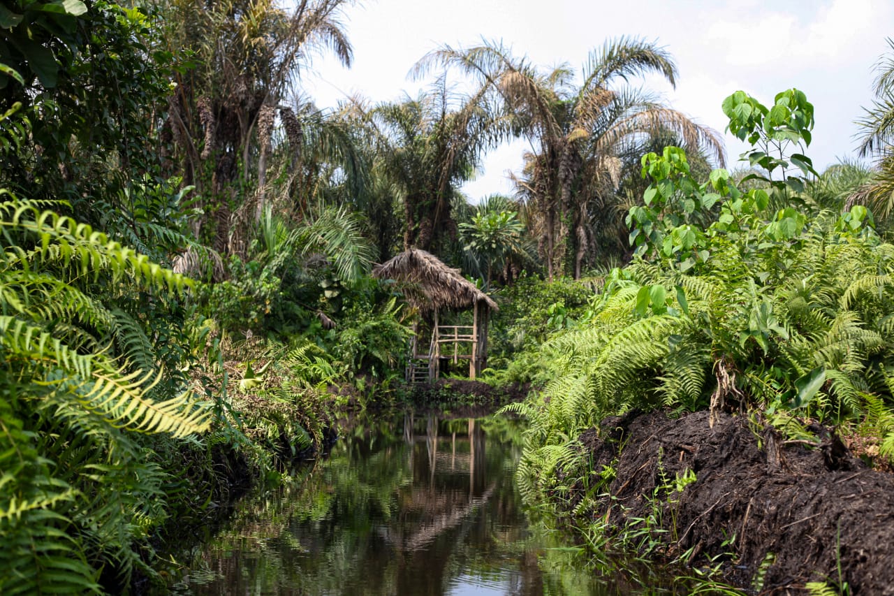 BÉNIN – Séjour immersif – Image 26