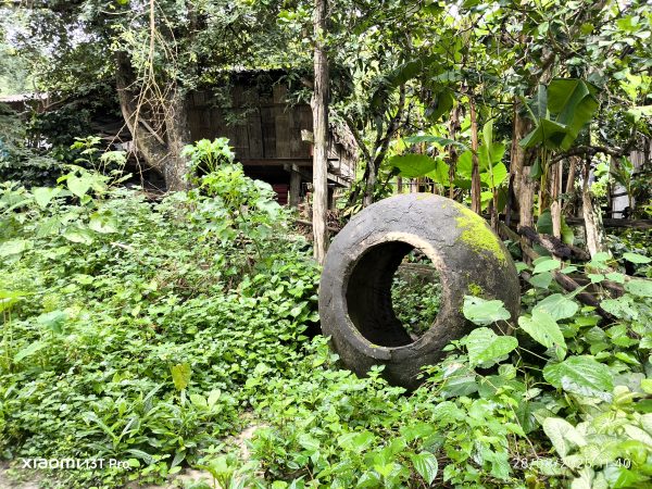 CHIANG MAI : Trek with the Karen People- Semi-private - Image 7