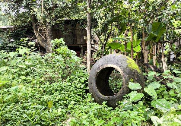 CHIANG MAI : Randonnée chez le peuple Karen - Semi-privée – Image 7