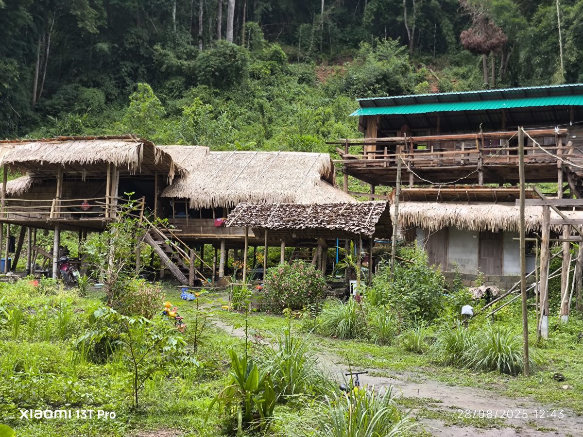 CHIANG MAI: Karen homestay experience