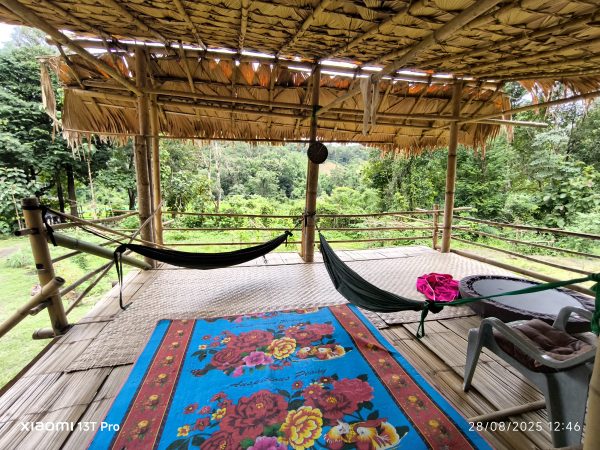 CHIANG MAI: Karen homestay experience - Image 8