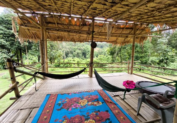 CHIANG MAI : Immersion chez les Karen – Image 8