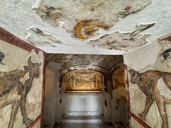 CAIRO : Alexandria Tour - Private Tour - Image 17