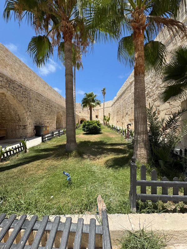 CAIRO : Alexandria Tour - Private Tour - Image 11