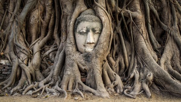 BANGKOK : Ayutthaya - Private Tour - Image 3