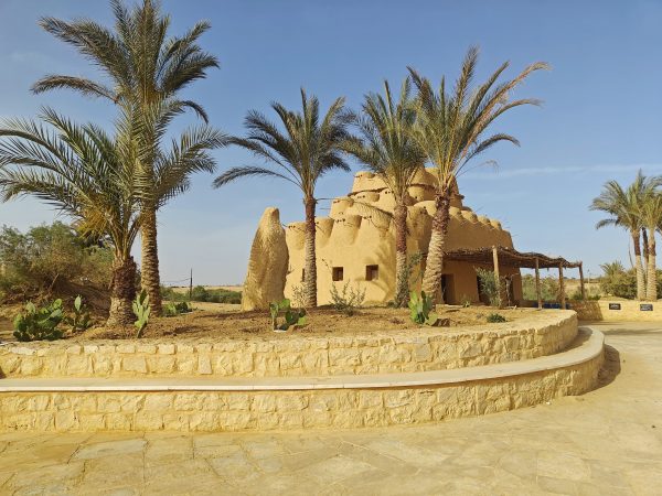 CAIRO : Cairo Tour- Private Tour - Image 3