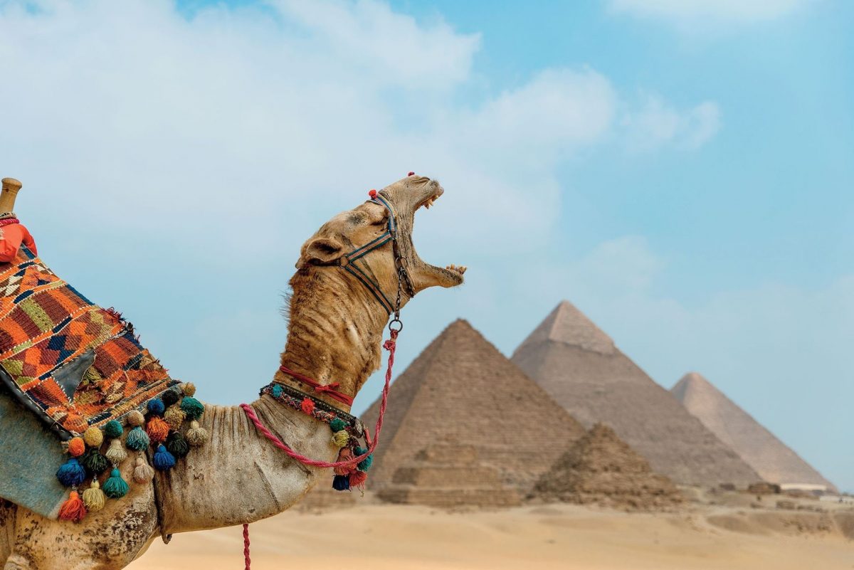 CAIRO : Cairo Tour- Private Tour