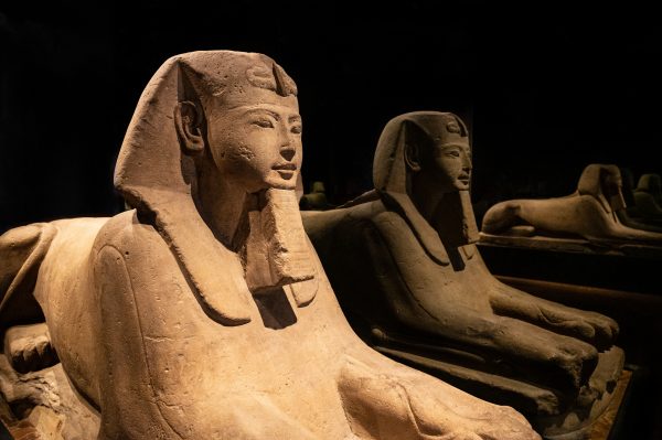 CAIRO : Cairo Tour- Private Tour - Image 6