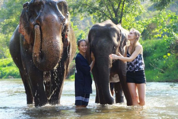CHIANG MAI : Ethical Elephant Encounter- Whole Day & Semi-private - Image 4