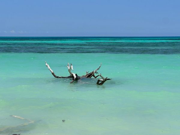 SAMUI: Private Tour to Koh Phangan – Speed Boat & Private Van - Image 5