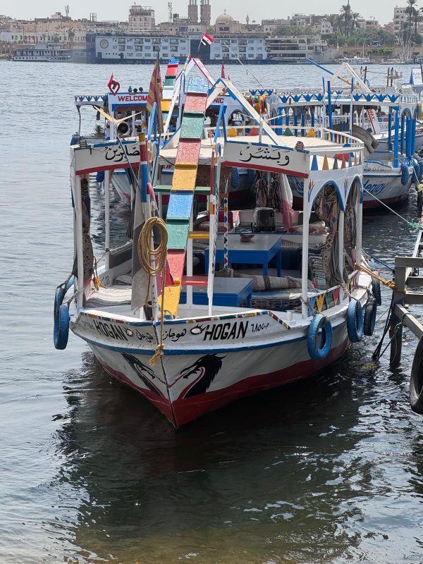 LOUXOR : Louxor Tour - Private Tour - Image 9