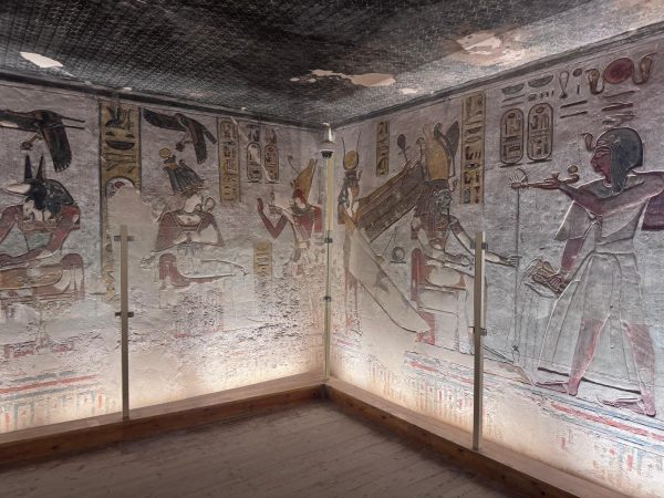 LOUXOR : Louxor Tour - Private Tour - Image 14