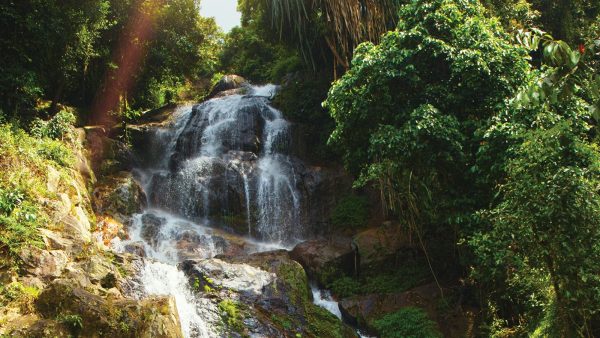 SAMUI: Authentic 4×4 Adventure – Private VIP Experience - Image 3