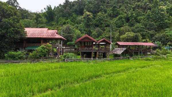 CHIANG MAI: Karen Homestay & Elephant Encounter - Image 12