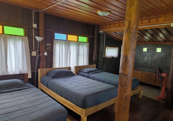 CHIANG MAI : Homestay Confort chez les Karen & Éléphants – Image 7
