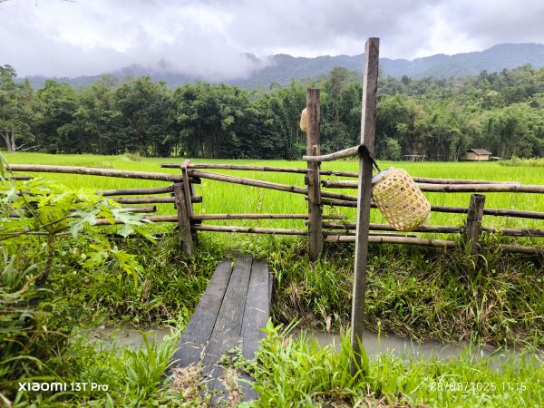 CHIANG MAI: Cooking Class & Karen Village Visit - Semi-private - Image 5