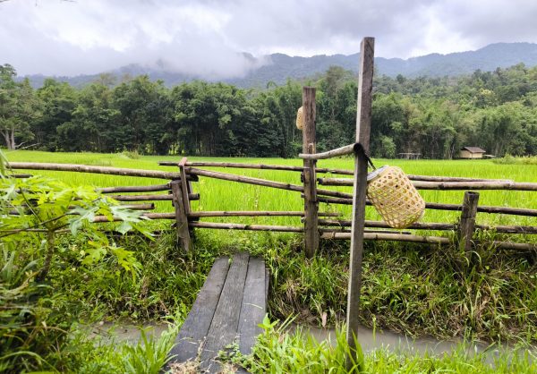 CHIANG MAI : Cours de cuisine et visite d’un village Karen - Semi-privée – Image 5