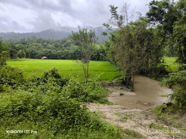 CHIANG MAI: Trek in the Karen Mountains – Semi-Private - Image 11