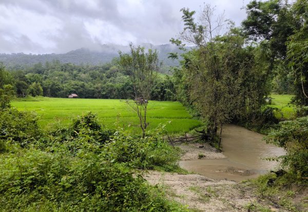 CHIANG MAI : Trek dans les montagnes Karen - Semi-privée – Image 11