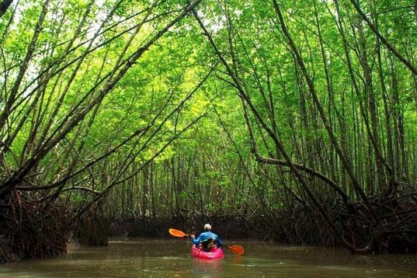 AO NANG / KRABI: Kayak & Natural Stream Swimming – Semi-private - Image 4