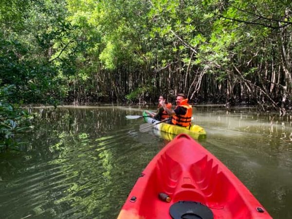 AO NANG / KRABI: Kayak & Natural Stream Swimming – Semi-private - Image 3