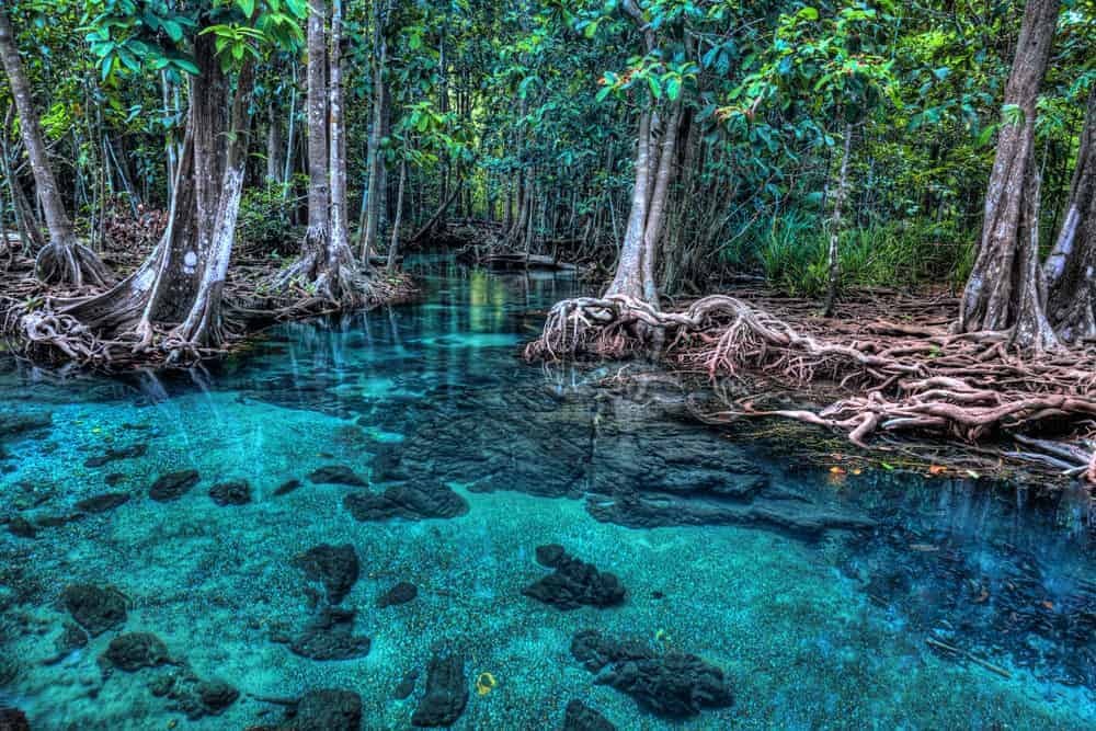 AO NANG / KRABI: Kayak & Natural Stream Swimming – Semi-private