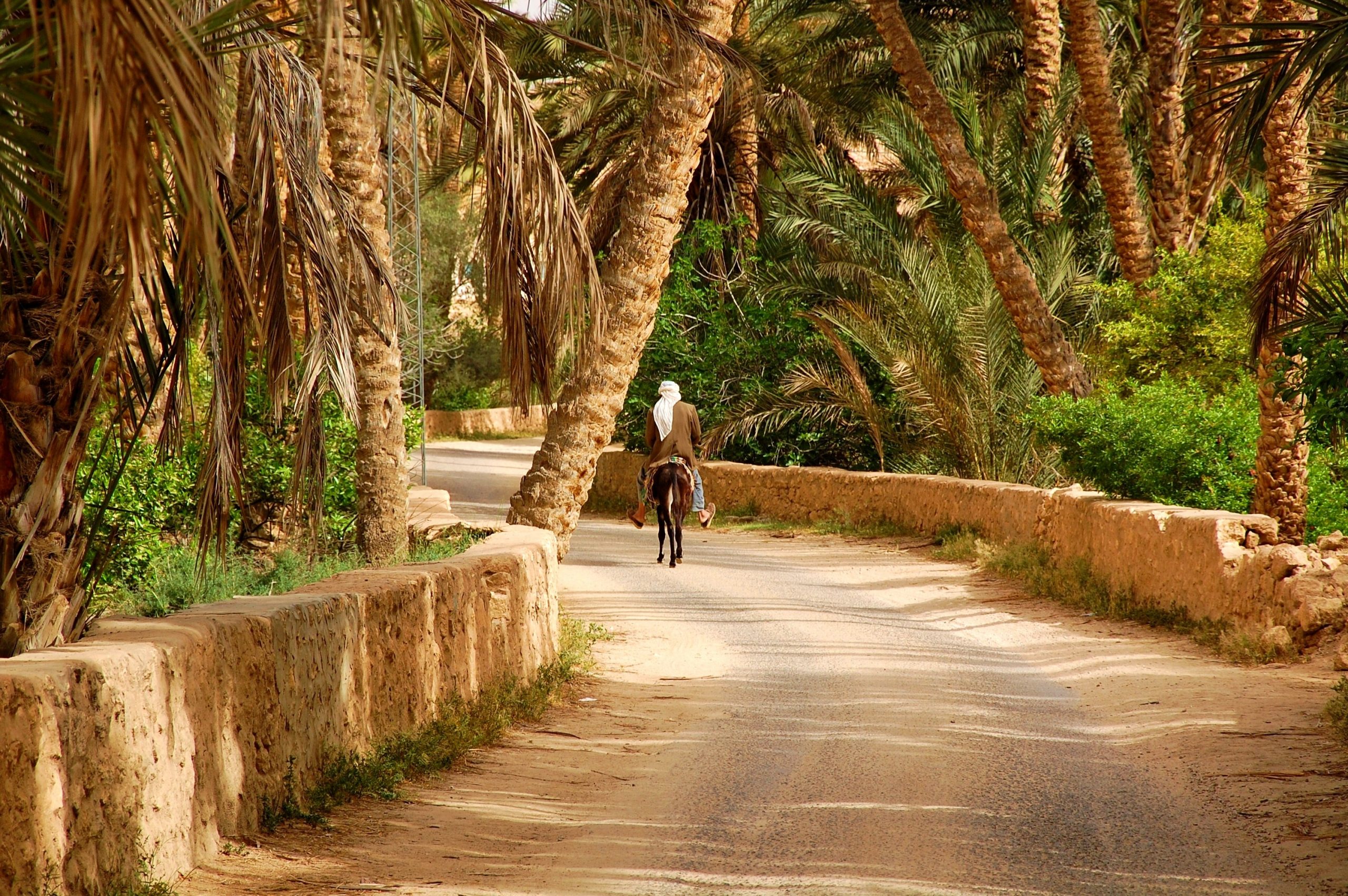 TUNISIE: Séjour immersif (11 jours / 10 nuits) – Image 3