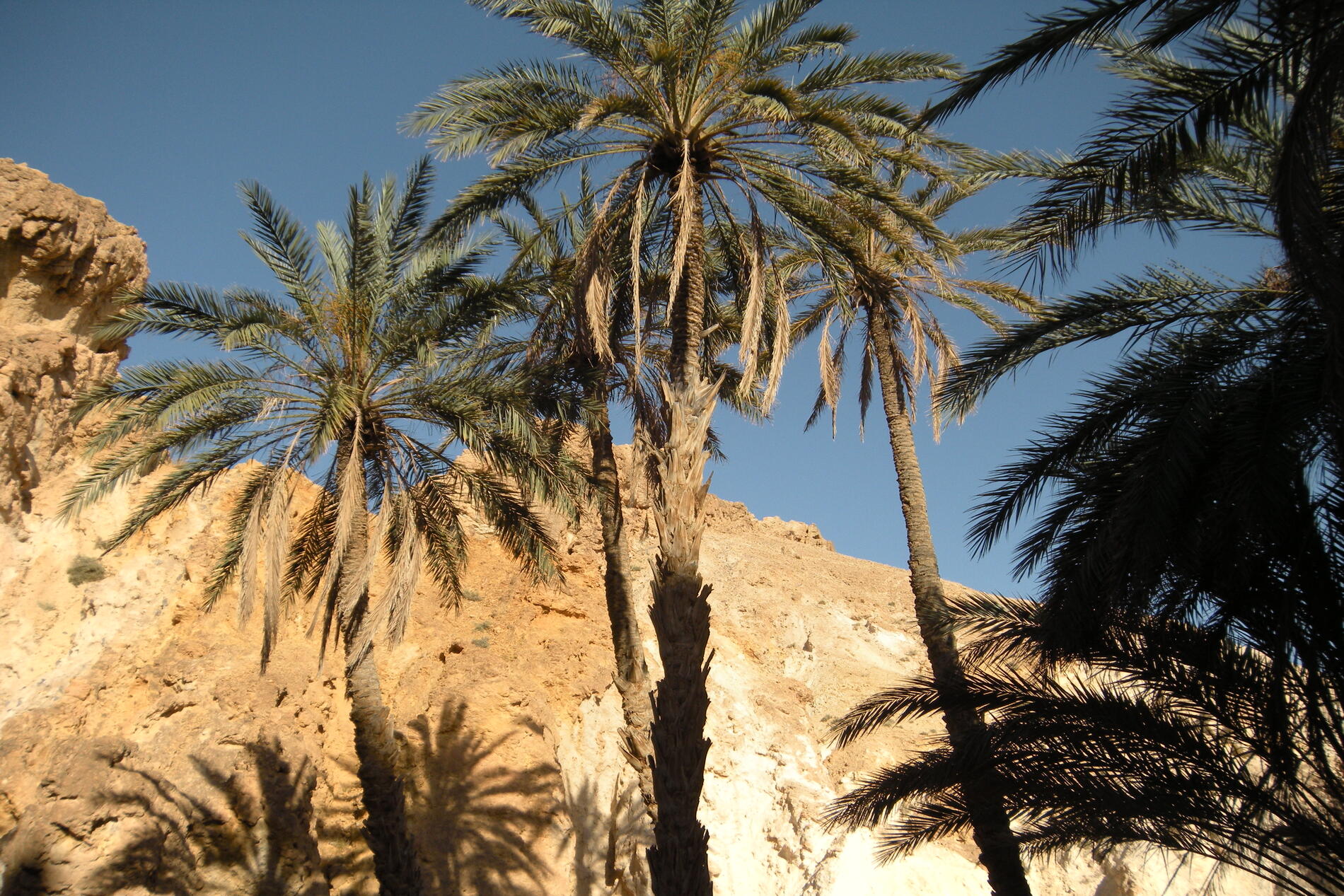 TUNISIE: Séjour immersif (11 jours / 10 nuits) – Image 24