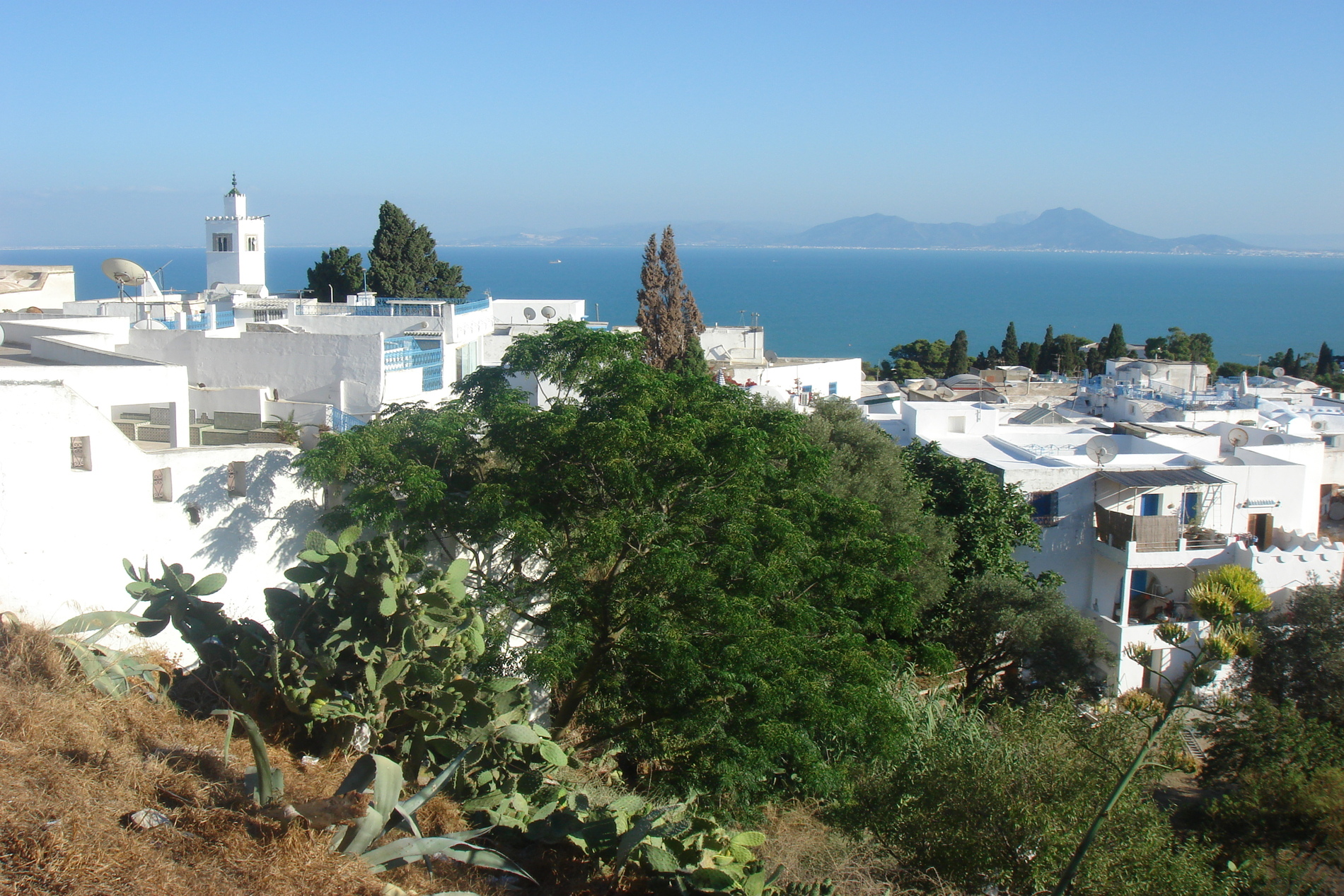 TUNISIE: Séjour immersif (11 jours / 10 nuits) – Image 25